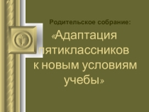 Презентация для родителей Адаптация пятиклассников