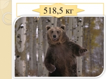 Презентация по математике на тему Умножение десятичных дробей