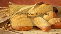 Презентация  Откуда к нам приходит хлеб