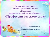 Педагогический проект Профессии детского сада