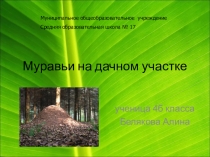 Презентация исследовательской работы Муравь на моем дачном участке