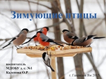 Экологический проект Зимующие птицы