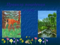 Презентация правила поведения в лесу
