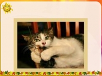 Обучающее изложение (2 класс)