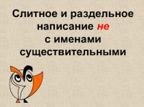 Слитное и раздельное написание НЕ с существительными