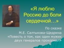 Презентация по литературе на тему М.Е. Салтыков-Щедрин. Повесть о том, как один мужик двух генералов прокормил.