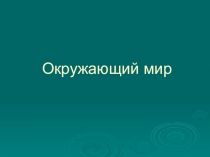 Презентация к уроку окружающего мира Чудесные цветники осенью