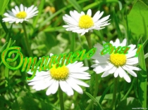 Презентация по литературе на тему Казачья колыбельная песня (4 класс)