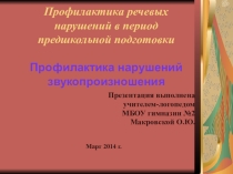 Презентация Профилактика речевых нарушений в период предшкольной подготовки