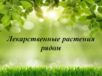 Презентация Лекарственные растения рядом