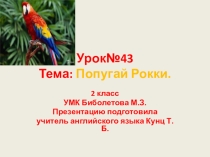 2 класс. Презентация по английскому языку. УМК Биболетова М.З. Урок №43, тема: Попугай Роки.