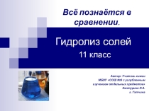 Презентация по химии на тему: Гидролиз солей (11класс)