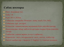 ПрезентацияPronouns: many, much, few, little