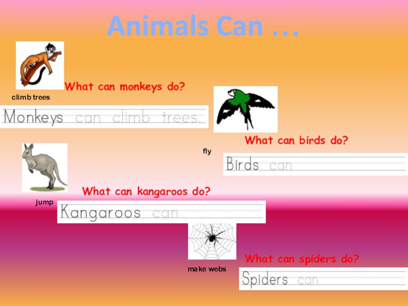 Модальный глагол Animals Can … Animals Can …