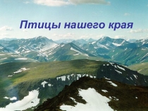 Презентация к внеклассному мероприяию Птицы нашего края.