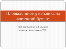 Презентация к уроку математики Формула Пика 5 класс по теме Площади
