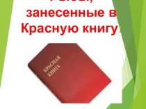 Презентация по биологии на тему Рыбы, занесённые в Красную книгу