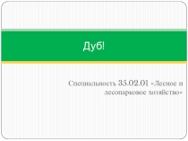 Презентация по теме: Буковые для СПО
