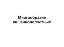 Презентация. Многообразие Кишечнополостных 7 класс.