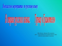 Презентация по русскому языку на тему Турнир грамотеев (3 класс)