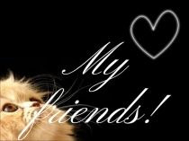 Проектная работа ученицы 10 класса Русиной Натальи 2016 г- УМК Кауфман - Friend for life