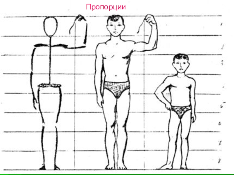 Изображение человека 7 букв