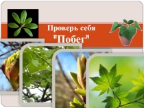 Презентация тест Побег 6 класс