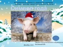 Презентация к занятию по бисероплетению Символ года 2019