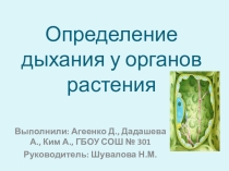 Определение дыхания у органов растения