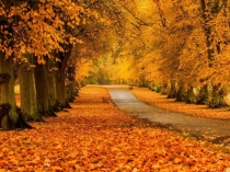 Презентация к празднику Здравствуй, Осень золотая!