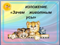 Презентация по русскому языку Изложение  Зачем животным усы ( 3класс)