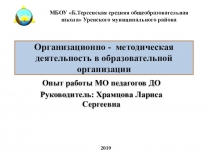 Презентация по теме Методическая деятельность педагога ДО в образовательной организации