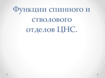 Функции спинного и стволового отделов ЦНС