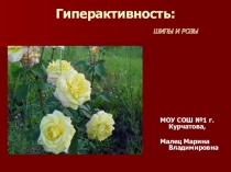 Презентация Коррекция синдрома гиперактивности