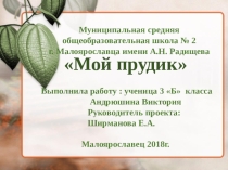Презентация проектно-исследовательской работы Мой прудик