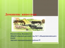Презентация для детей 2 младшей группы Домашние животные