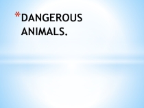Презентация по английскому языку Dangerous animals.
