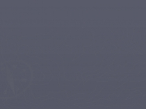 Презентация по русскому языку на тему Родственные слова