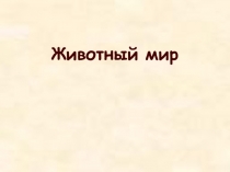 Мир животных
