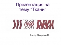 Презентация по анатомии на тему:  Ткани