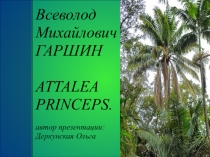 Презентация к урокам литературы по произведениям А.П. Гаршина