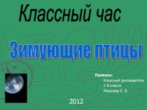 Разработка классного часа и презентация Зимующие птицы(2кл)