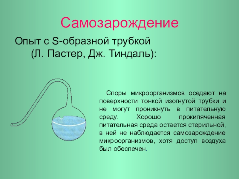 Опыт жизни. Самозарождение. Самозарождение жизни. Опыт с самозарождением. Опыт самозарождения жизни.