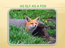 Презентация к песне со словами на английском языке As sly as a fox. Грамматика сравнительного оборота as...as