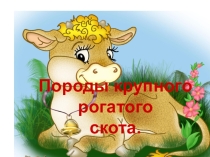 Породы крупного рогатого скота