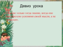 Презентация к уроку биологии на тему  Деление царств на группы