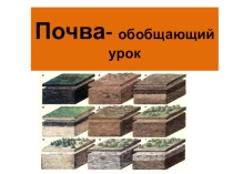 Презентация по географии 8 класс по теме Почвы