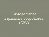 Презентация Самодельные взрывные устройства