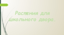 Презентация по биологии на тему  Растения для школьного двора