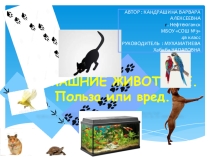 ПроектДомашние животные польза или вред